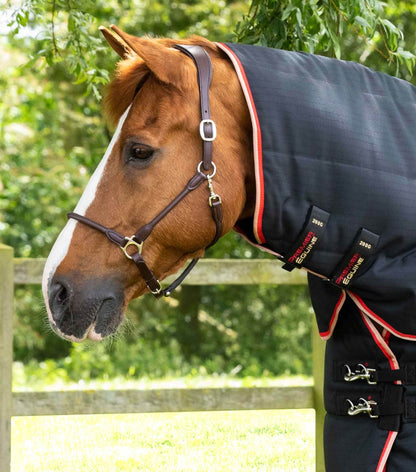 Premier Equine Stable Buster 450g Stable Rug with Neck Cover Black - N P Equestrian & Pet Supplies Ltd 