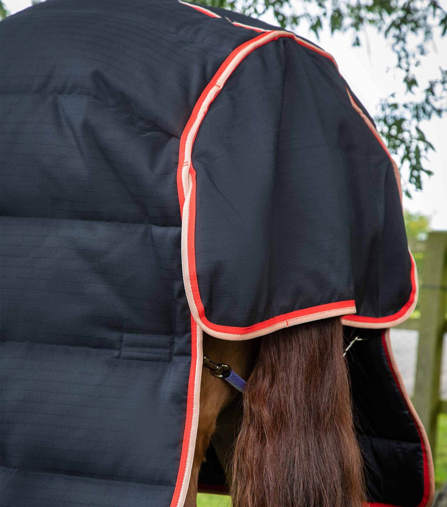 Premier Equine Stable Buster 450g Stable Rug with Neck Cover Black - N P Equestrian & Pet Supplies Ltd 