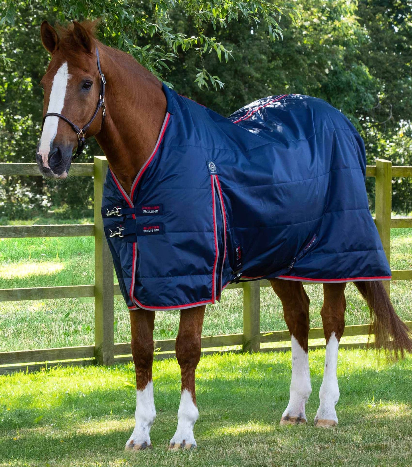 Premier Equine Stable Buster Lite 100g - N P Equestrian & Pet Supplies Ltd 