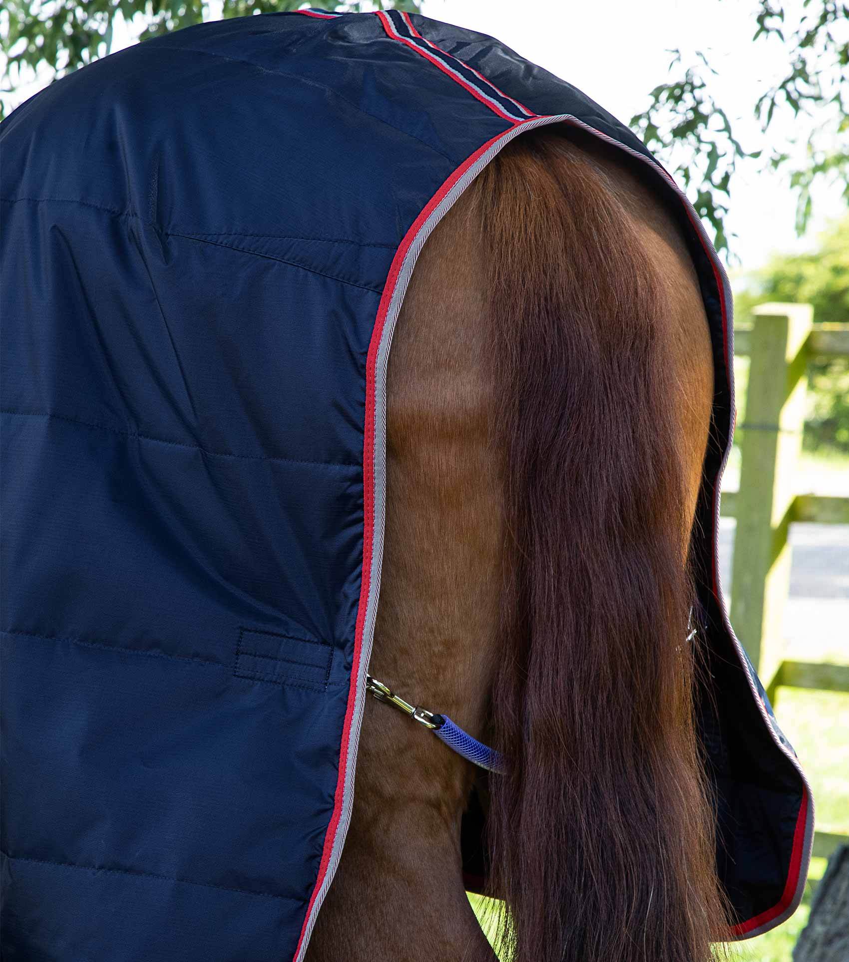 Premier Equine Stable Buster Lite 100g - N P Equestrian & Pet Supplies Ltd 