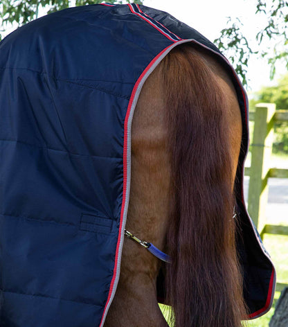 Premier Equine Stable Buster Lite 100g - N P Equestrian & Pet Supplies Ltd 