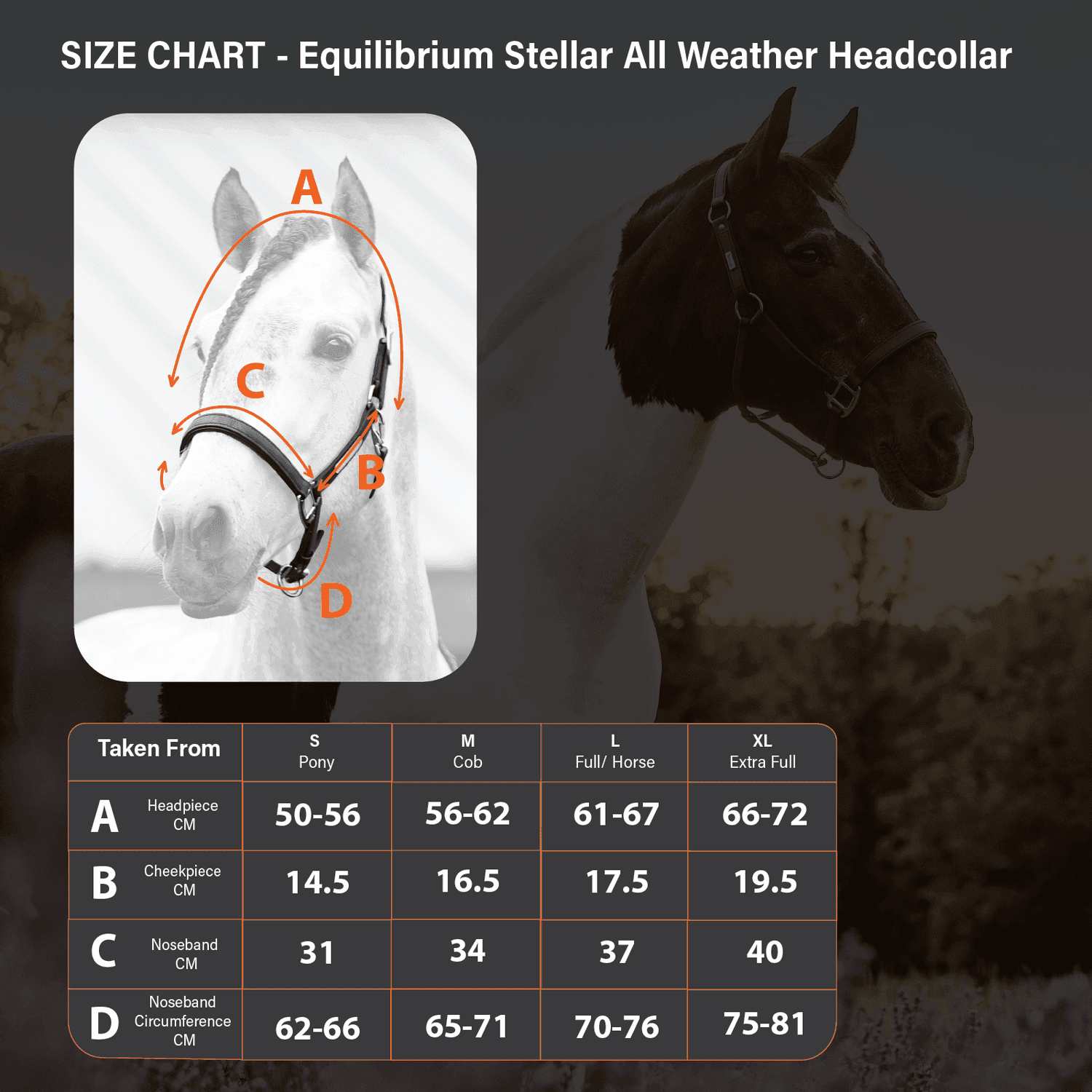 Equilibrium Stellar All Weather Headcollar - N P Equestrian & Pet Supplies Ltd 