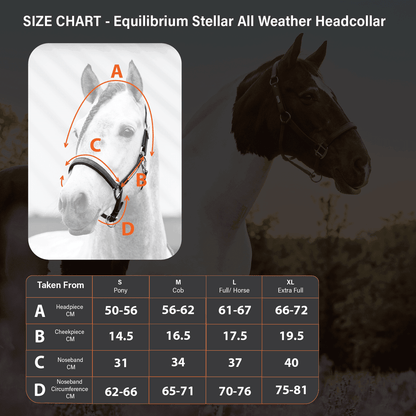 Equilibrium Stellar All Weather Headcollar - N P Equestrian & Pet Supplies Ltd 