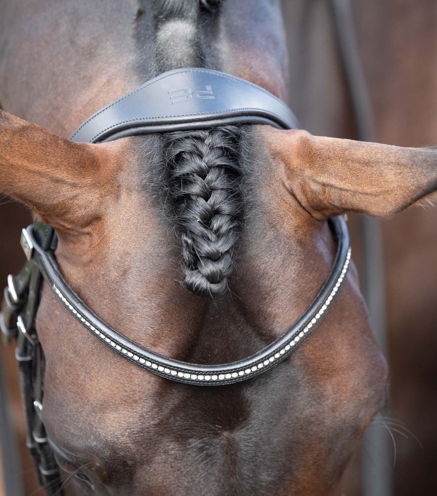 Premier Equine Anatomical Shaped Headpiece Black