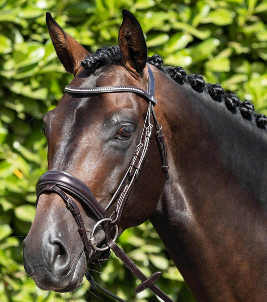 Premier Equine Stellazio Anatomic Snaffle Bridle with Flash Brown - N P Equestrian & Pet Supplies Ltd 