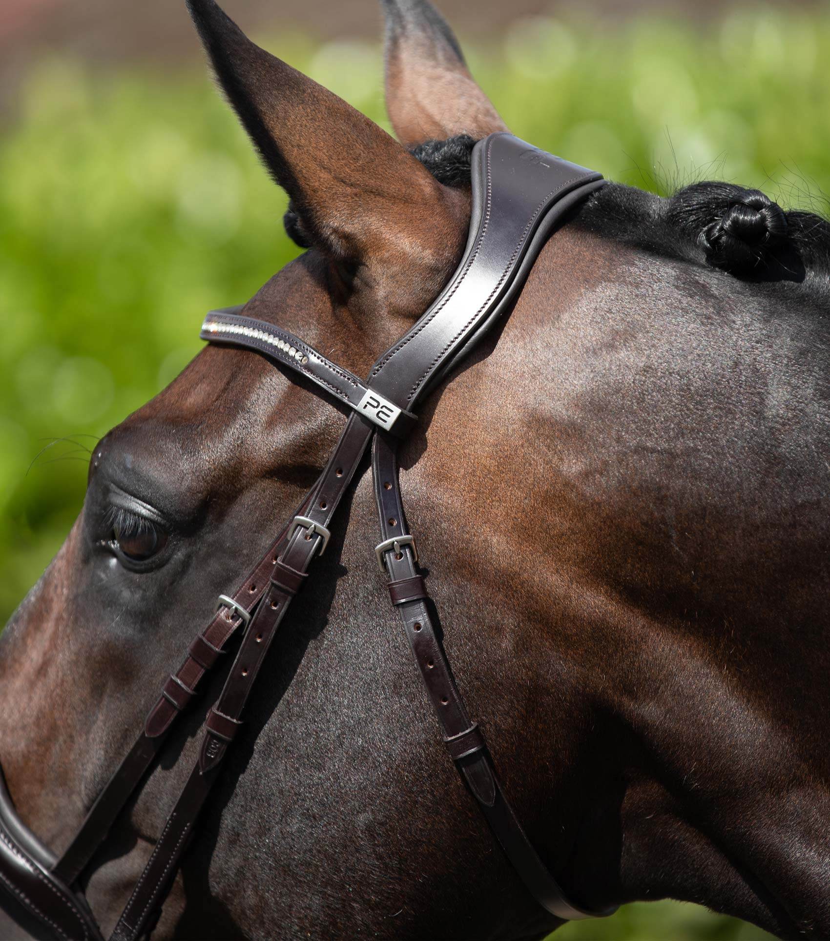 Premier Equine Anatomical Shaped Headpiece Brown - N P Equestrian & Pet Supplies Ltd 