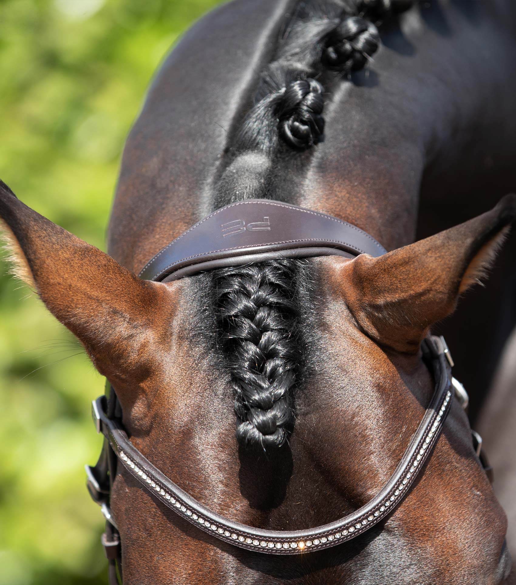 Premier Equine Anatomical Shaped Headpiece Brown - N P Equestrian & Pet Supplies Ltd 