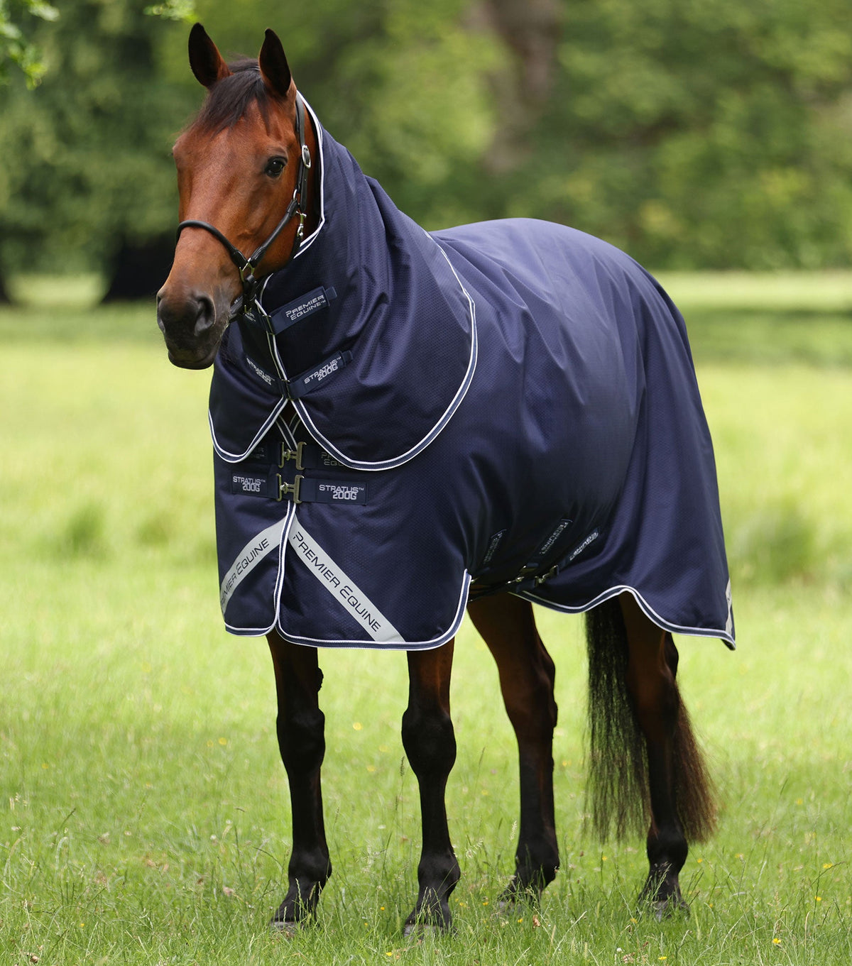 Premier Equine Stratus 600D Series 200g Turnout Rug with Classic Neck Cover - Navy