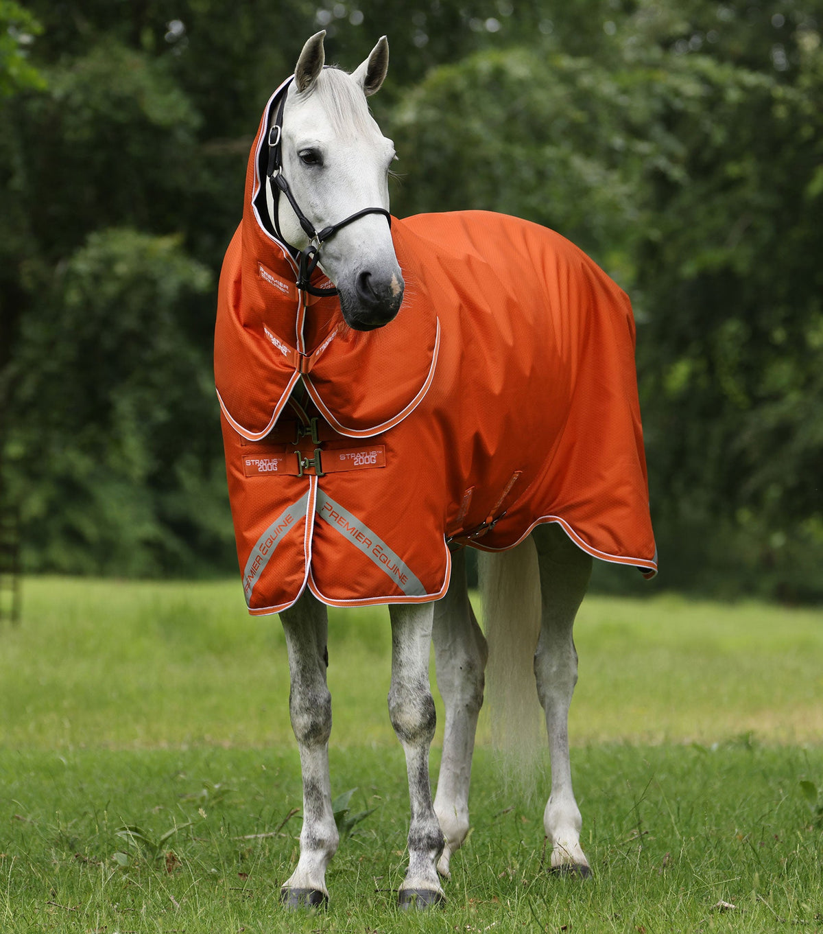 Premier Equine Stratus 600D Series 200g Turnout Rug with Classic Neck Cover - Orange
