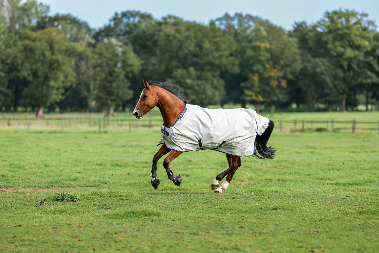 Bucas Sun Shower 0g Standard Neck Mesh Lined Turnout Rug - Silver