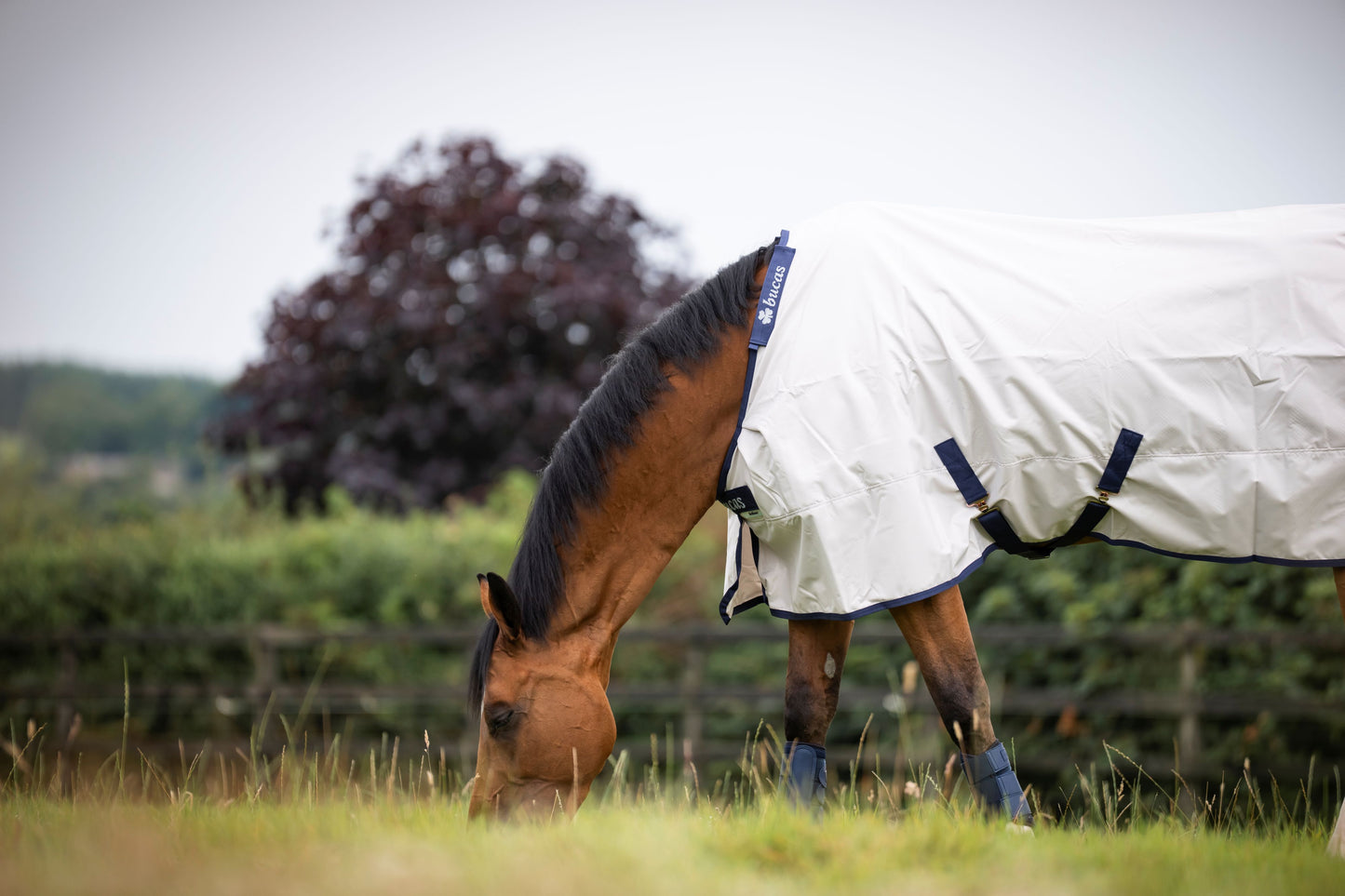 Bucas Sun Shower 0g Standard Neck Mesh Lined Turnout Rug - Silver
