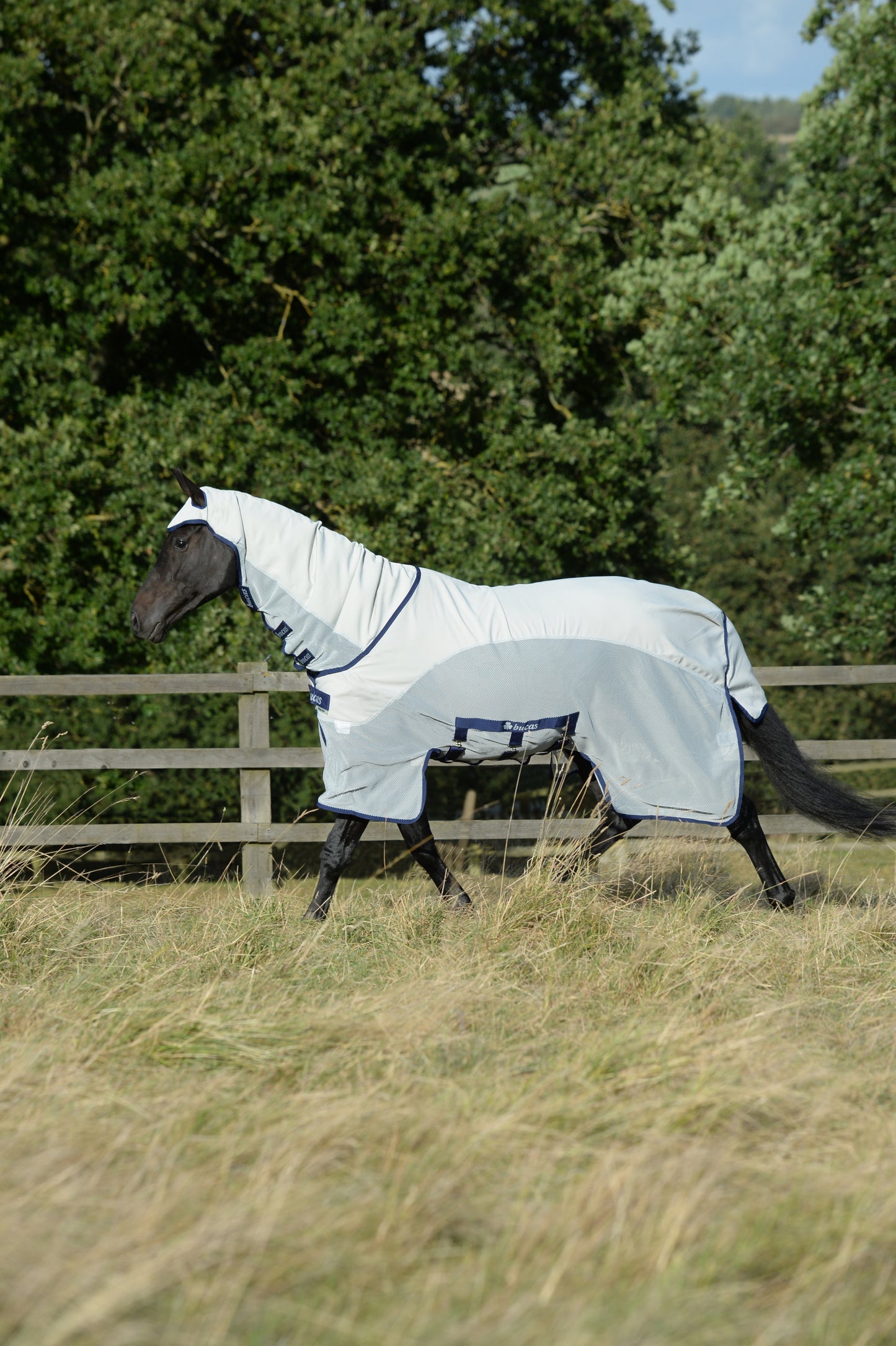 Bucas Sweet-Itch X Light Combi Big Neck Fly Rug - Silver