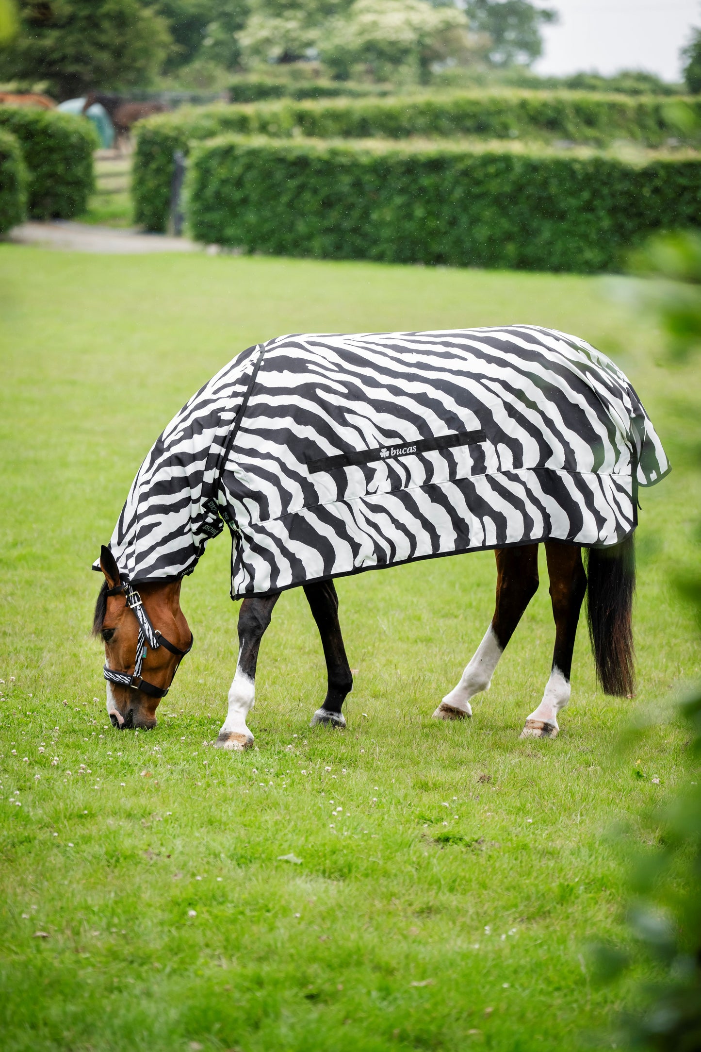 Bucas Zebra Sweet-Itch Full Neck Fly Rug