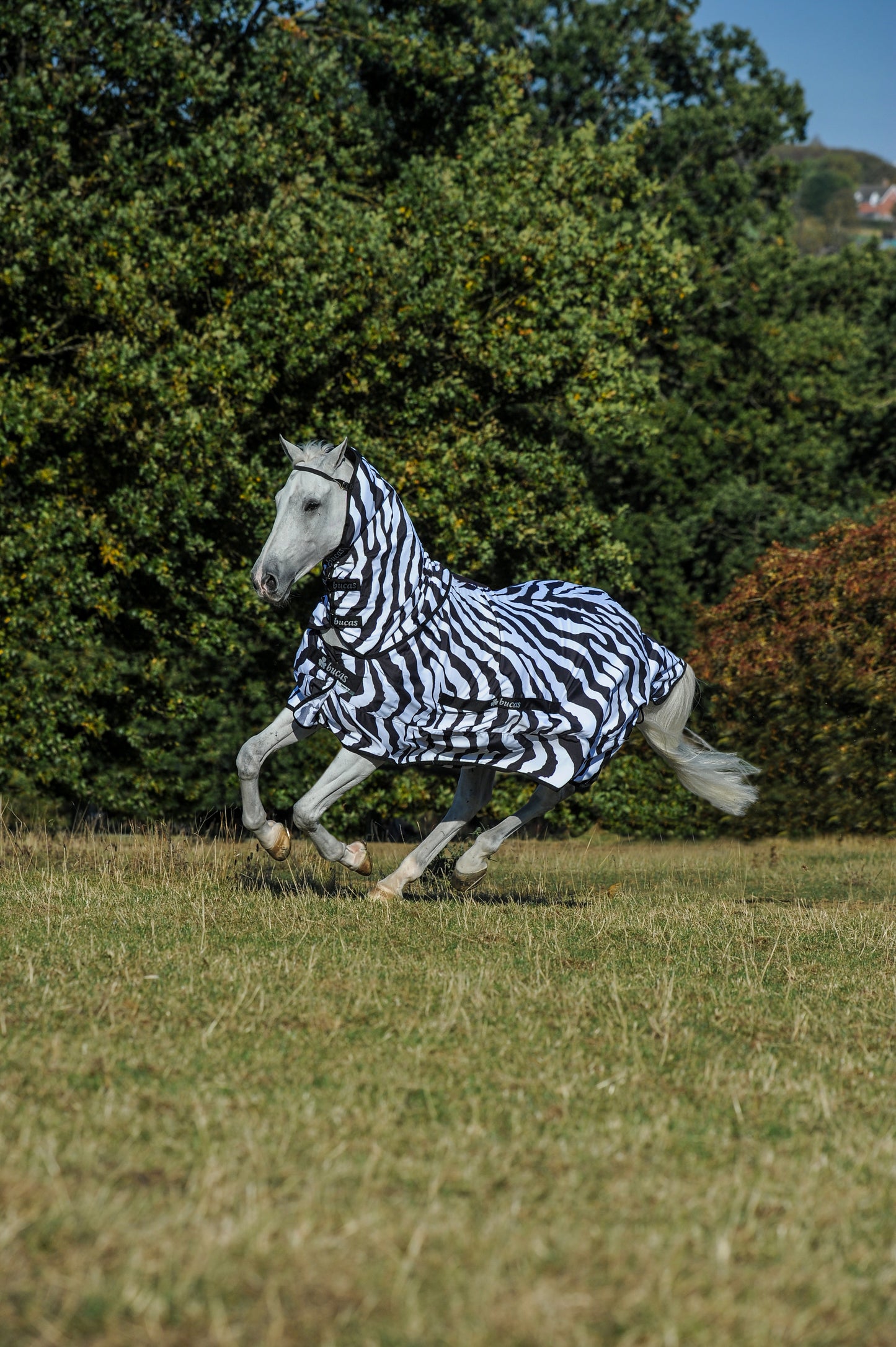 Bucas Zebra Sweet-Itch Full Neck Fly Rug