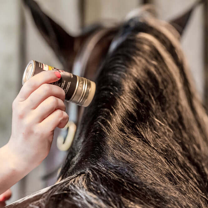 Smart Grooming Plaiting Wax