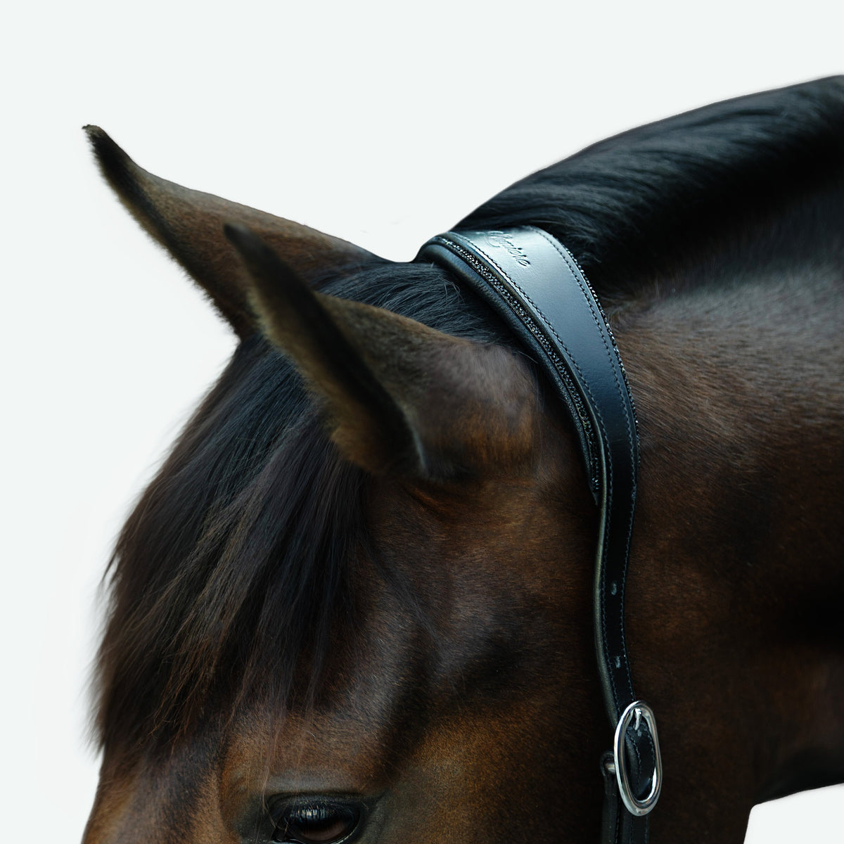 Lumiere Equestrian Vegas Glitter Leather Headcollar