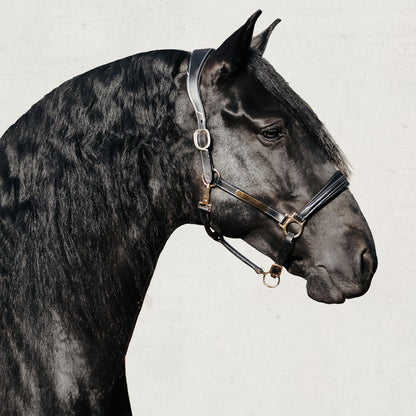 Lumiere Equestrian Bella Leather Headcollar