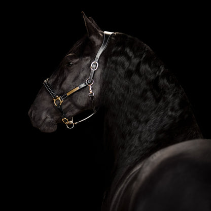 Lumiere Equestrian Bella Leather Headcollar