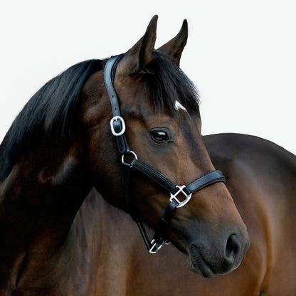 Lumiere Equestrian Vegas Glitter Leather Headcollar