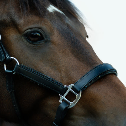 Lumiere Equestrian Vegas Glitter Leather Headcollar