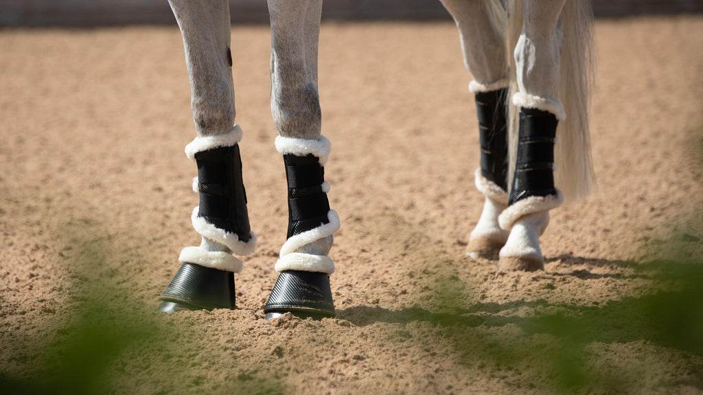 Premier Equine Techno Wool Brushing Boots - N P Equestrian & Pet Supplies Ltd 