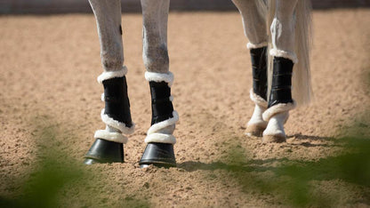 Premier Equine Techno Wool Brushing Boots - N P Equestrian & Pet Supplies Ltd 