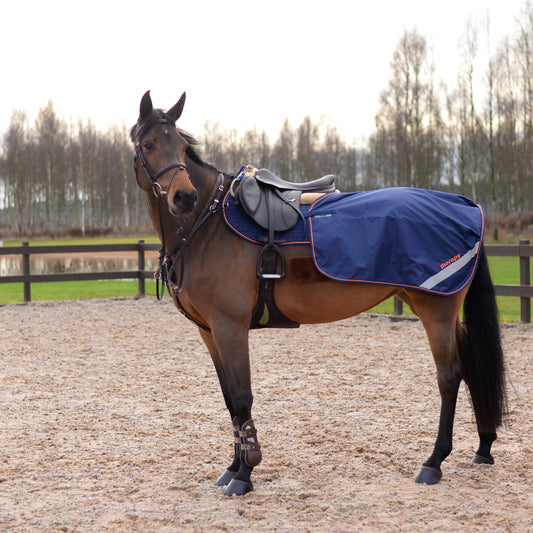 Bucas Therapy Quarter Sheet - Navy/Orange