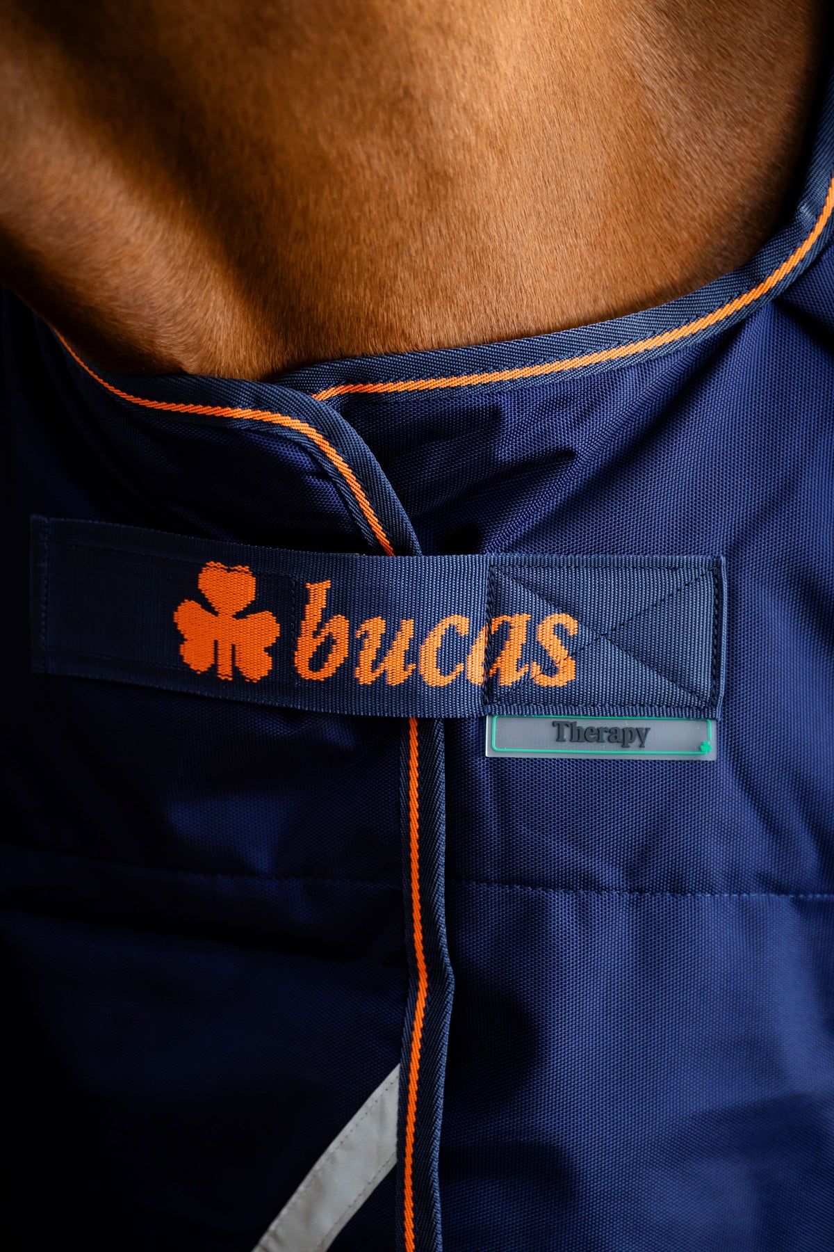 Bucas Therapy Light Turnout Rug - Navy/Orange