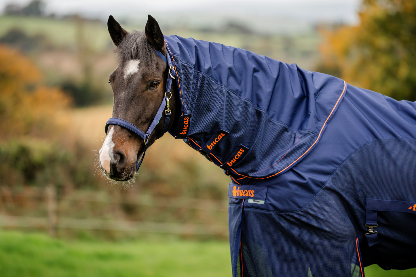 Bucas Therapy X-Range Rain Rug with Neck Cover - Navy/Orange