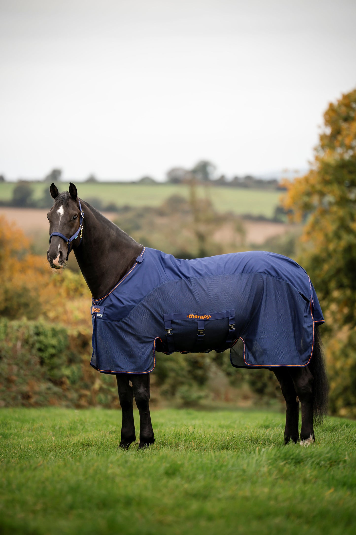 Bucas Therapy X-Range Rain Rug with Neck Cover - Navy/Orange