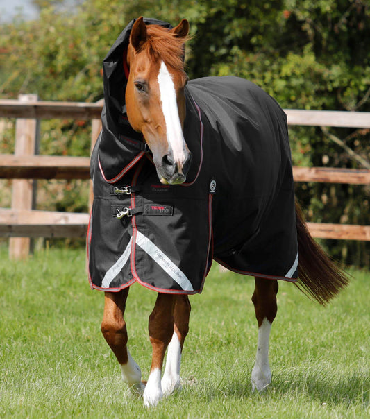 Premier Equine Titan 100g Turnout Rug with Snug-Fit Neck Cover Black - N P Equestrian & Pet Supplies Ltd 