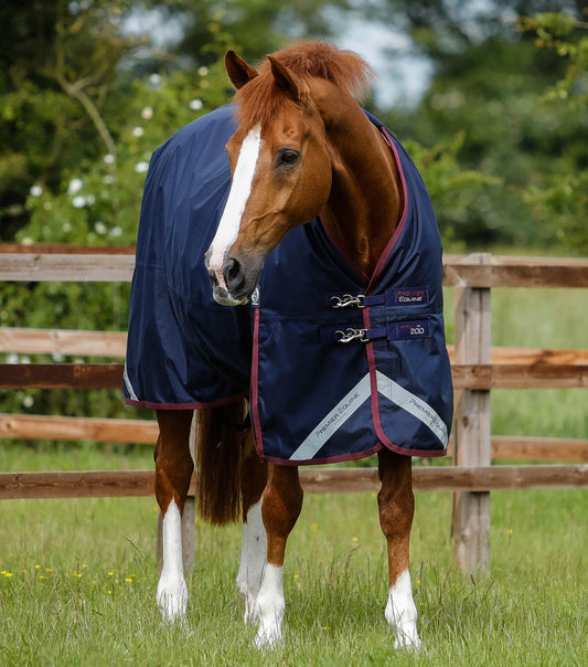 Horse wearing a navy blue rug with a white stripe in a grassy field.