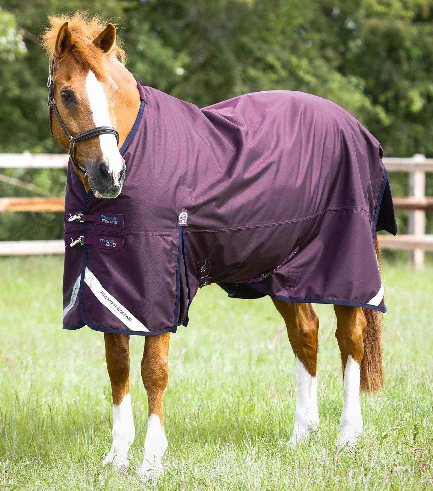 Premier Equine Titan 200g Original Turnout Rug Purple - N P Equestrian & Pet Supplies Ltd 