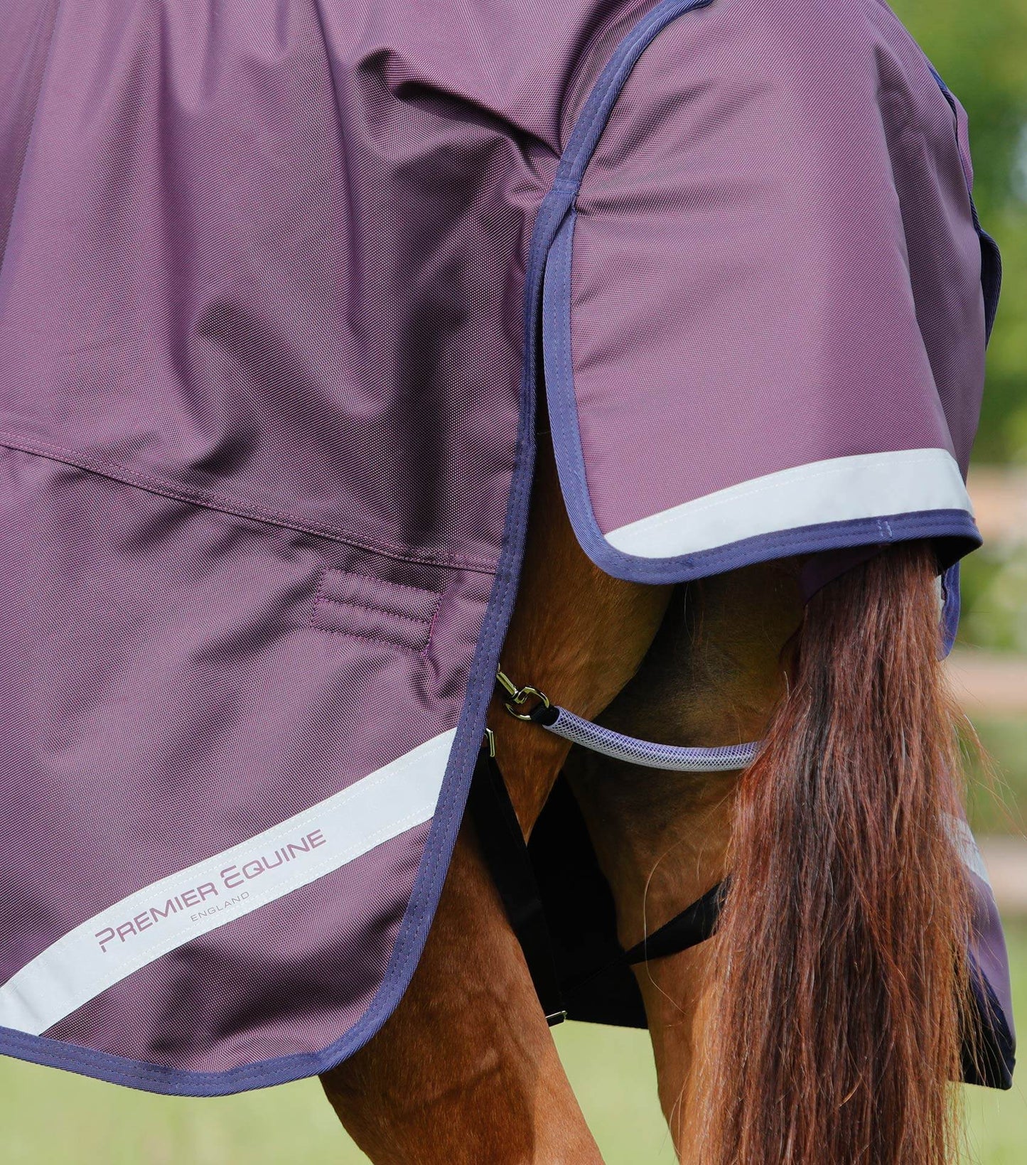 Premier Equine Titan 200g Original Turnout Rug Purple - N P Equestrian & Pet Supplies Ltd 