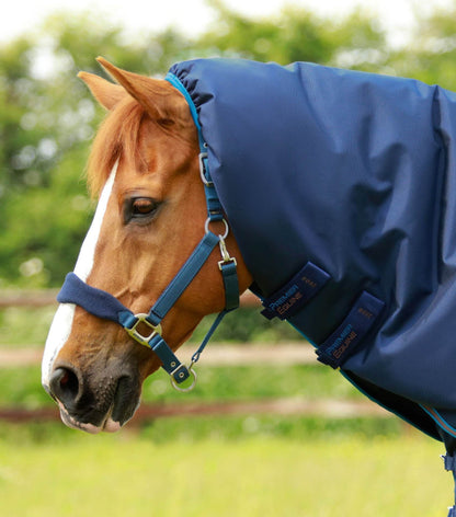 Premier Equine Titan 200g Turnout Rug with Snug-Fit Neck Cover Navy - N P Equestrian & Pet Supplies Ltd 