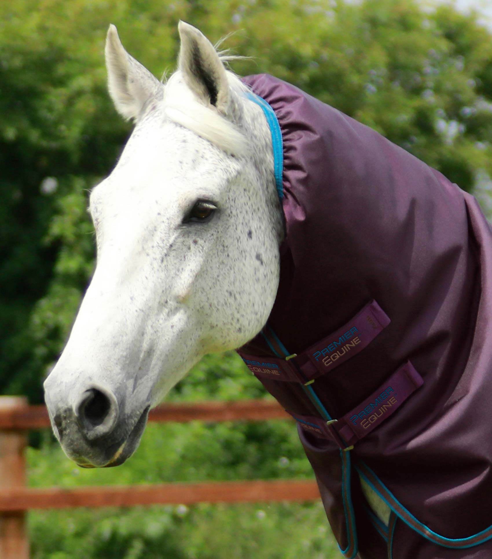 Premier Equine Titan 200g Turnout Rug with Snug-Fit Neck Cover - N P Equestrian & Pet Supplies Ltd 