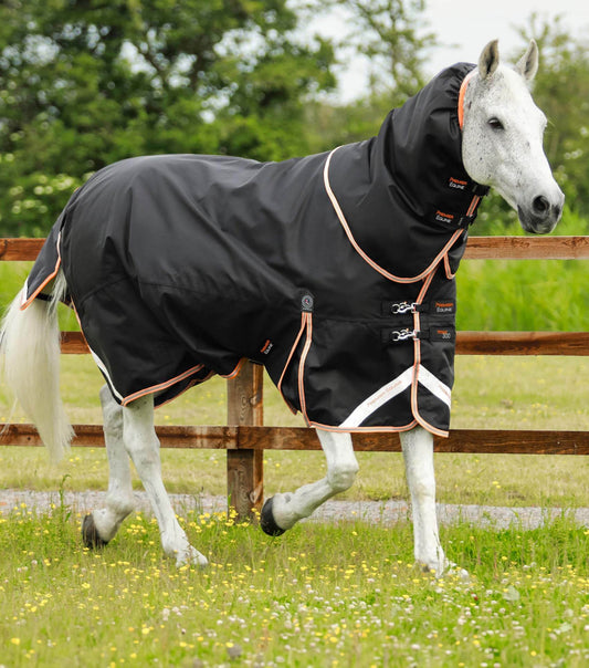 Premier Equine Titan 300g Turnout Rug with Snug-Fit Neck Cover Black - N P Equestrian & Pet Supplies Ltd 