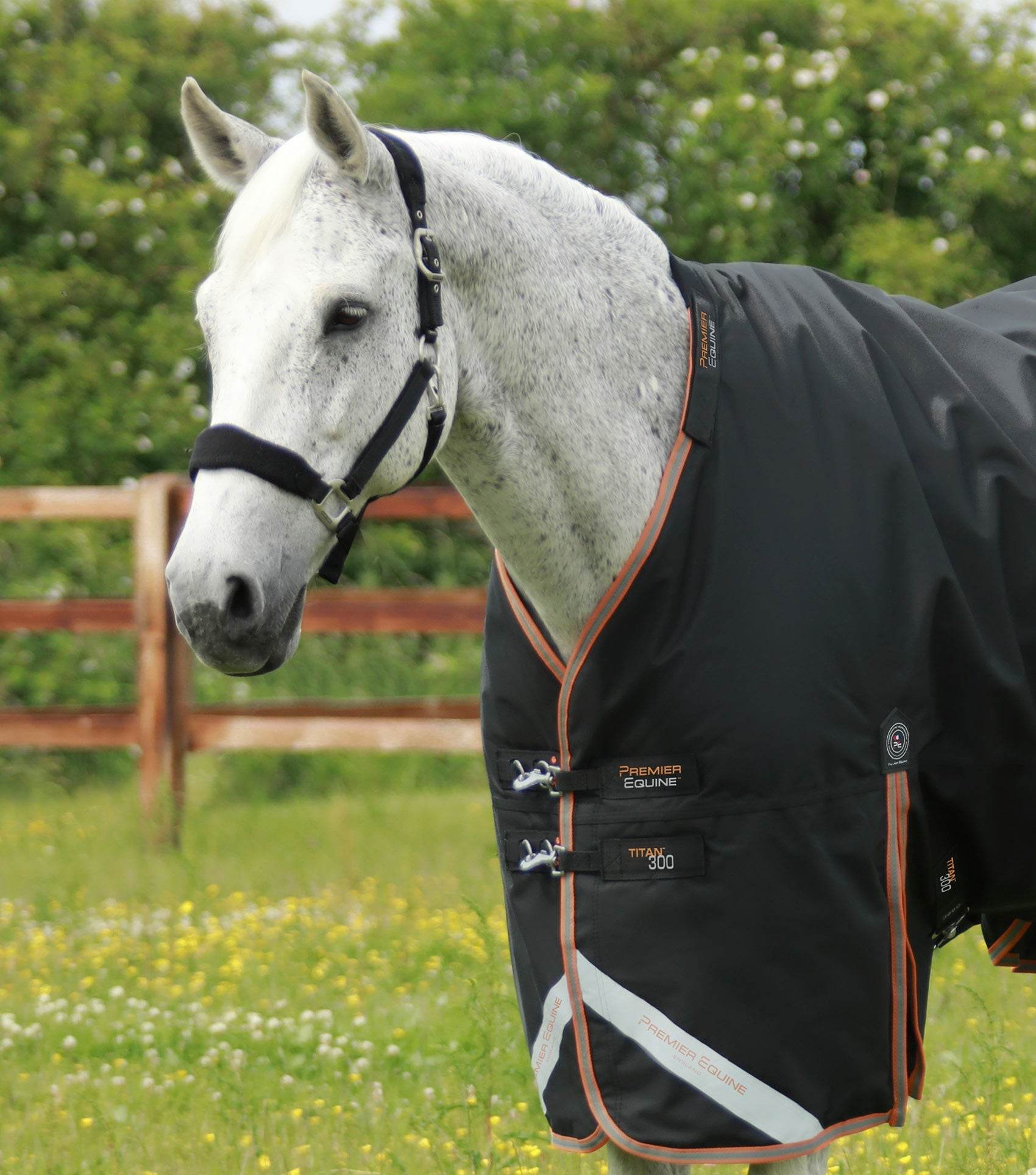 Premier Equine Titan 300g Turnout Rug with Snug-Fit Neck Cover Black - N P Equestrian & Pet Supplies Ltd 