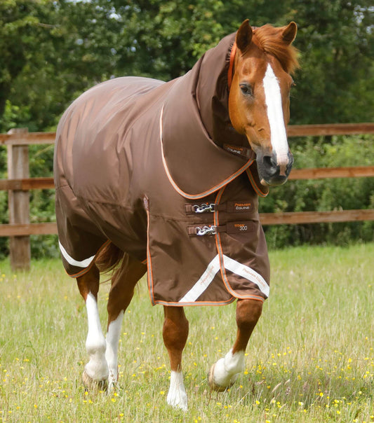 Premier Equine Titan 300g Turnout Rug with Snug-Fit Neck Cover Brown - N P Equestrian & Pet Supplies Ltd 