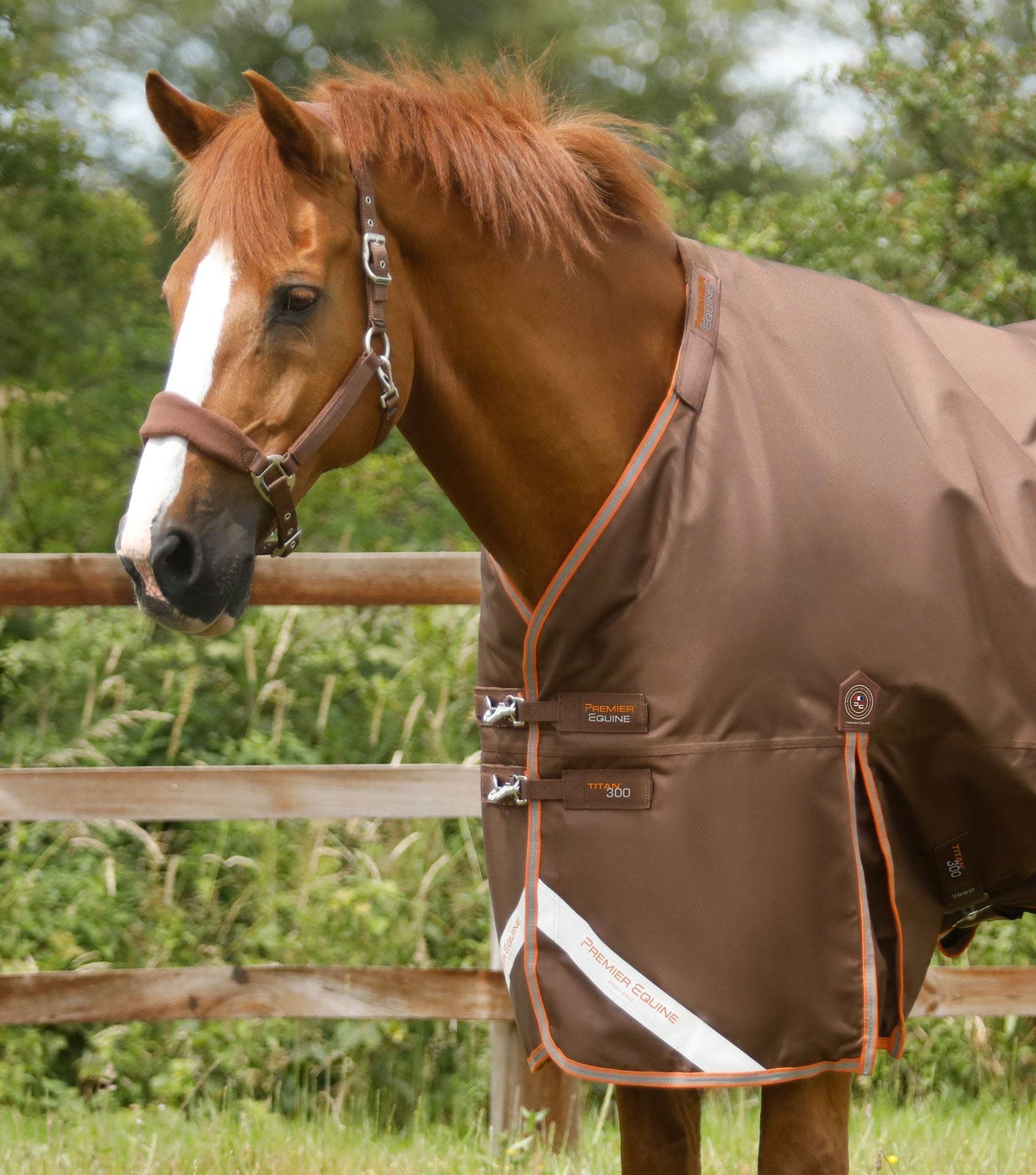 Premier Equine Titan 300g Turnout Rug with Snug-Fit Neck Cover Brown - N P Equestrian & Pet Supplies Ltd 
