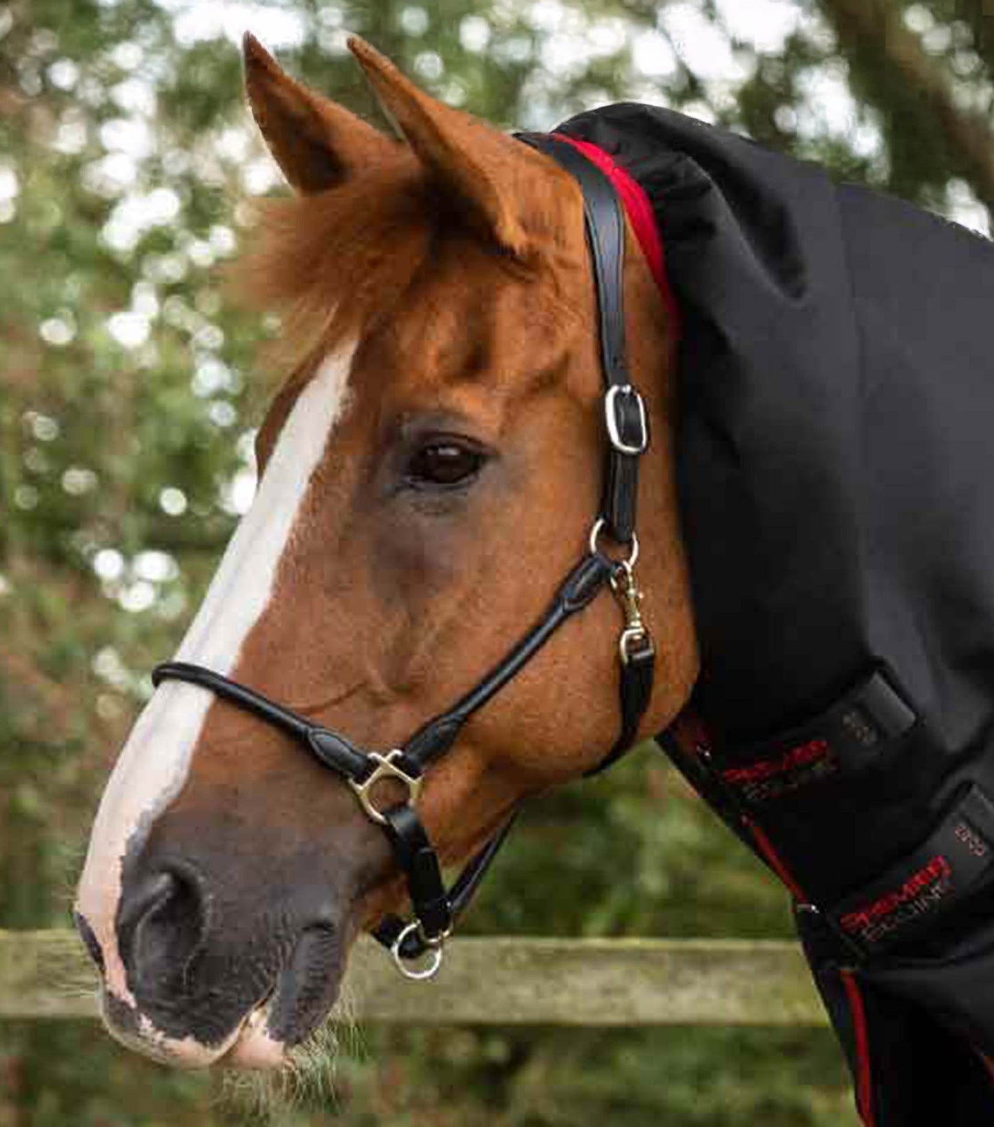 Premier Equine Titan 450g Turnout Rug with Snug-Fit Neck Cover Black - N P Equestrian & Pet Supplies Ltd 