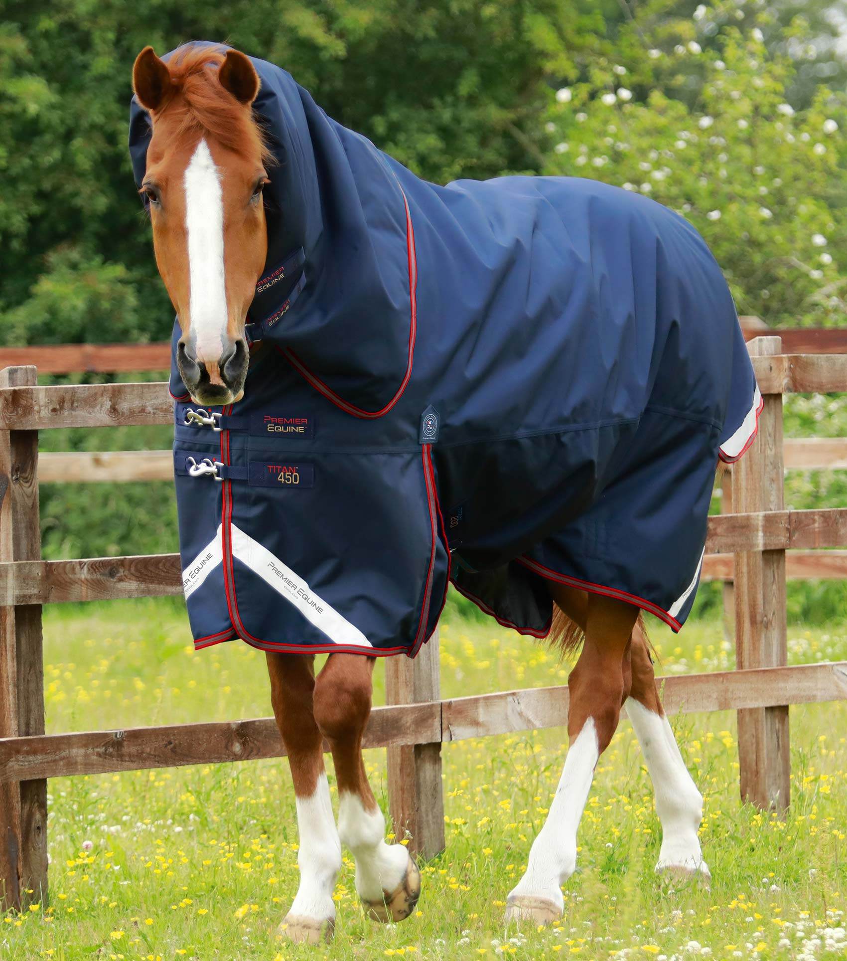 Premier Equine Titan 450g Turnout Rug with Snug-Fit Neck Cover Navy - N P Equestrian & Pet Supplies Ltd 