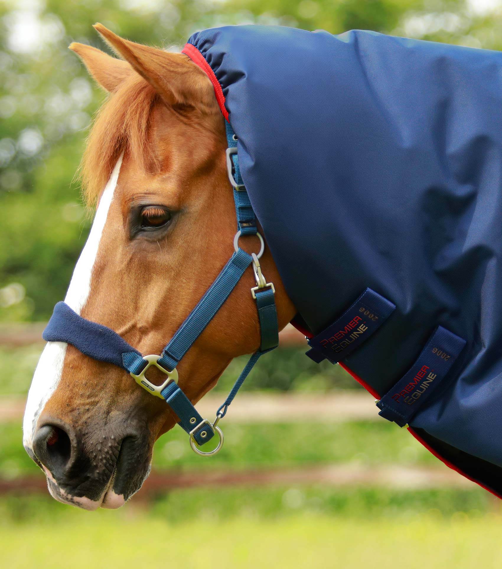 Premier Equine Titan 450g Turnout Rug with Snug-Fit Neck Cover Navy - N P Equestrian & Pet Supplies Ltd 