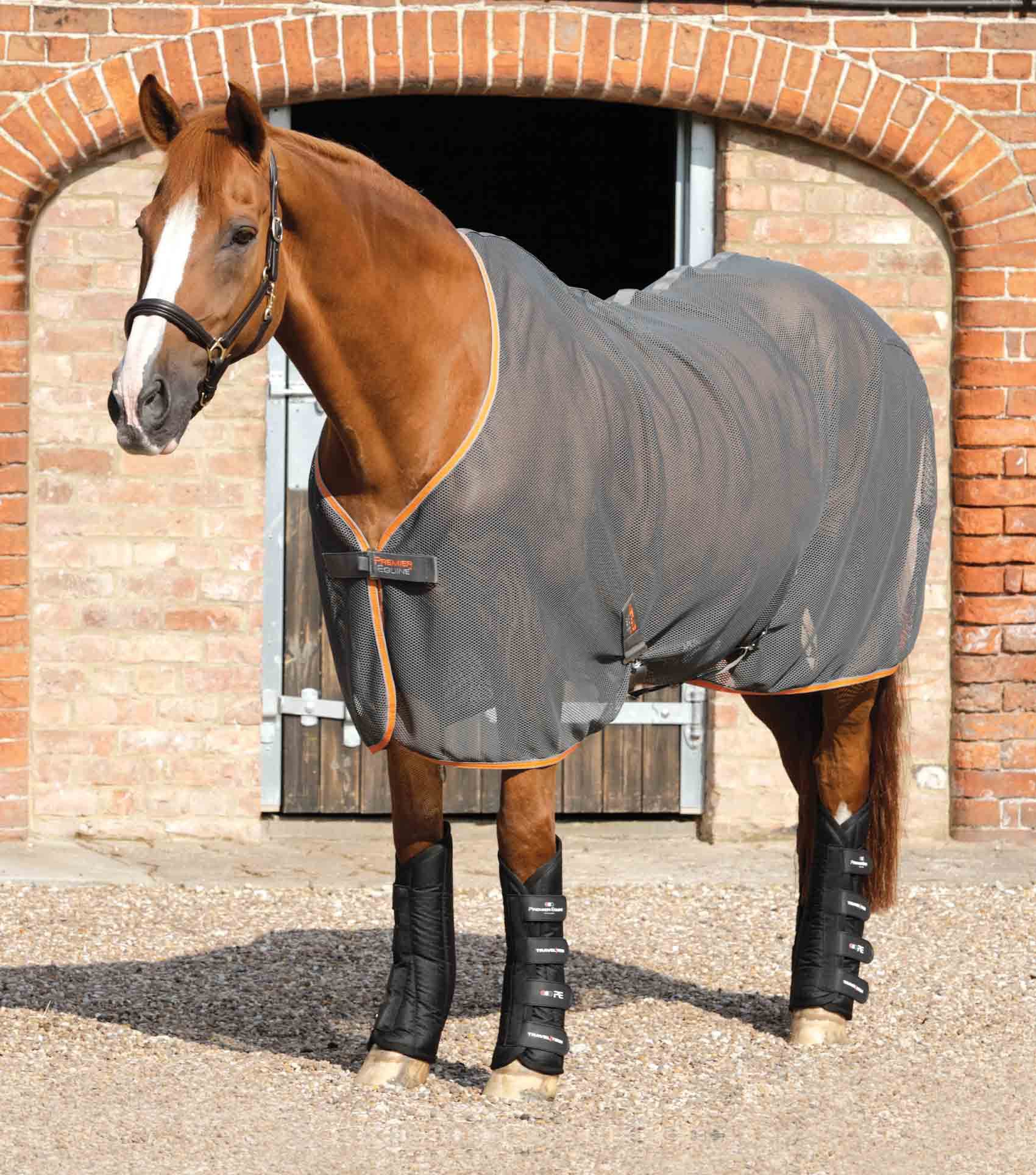 Premier Equine Travel-Tech Travel Boots - N P Equestrian & Pet Supplies Ltd 