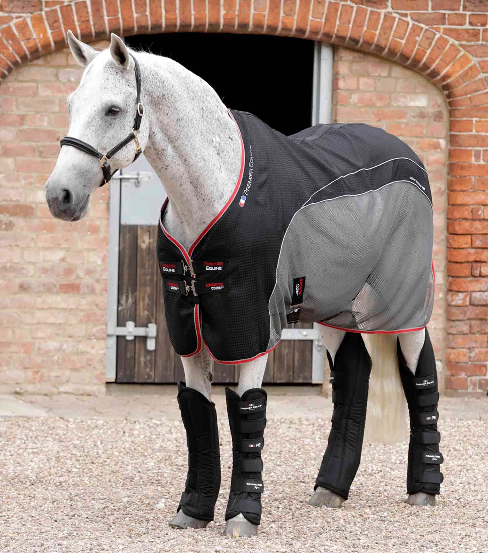 Premier Equine Travel-Tech Xtra Travel Boots - N P Equestrian & Pet Supplies Ltd 