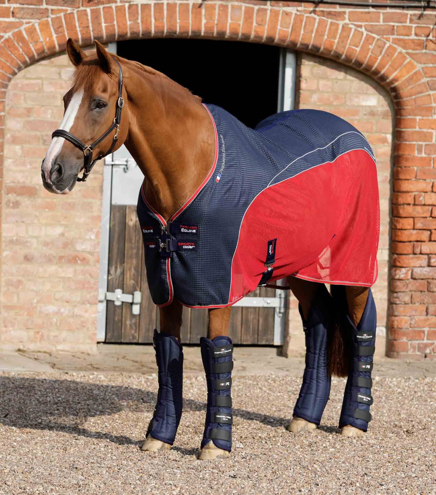 Premier Equine Travel-Tech Xtra Travel Boots - N P Equestrian & Pet Supplies Ltd 