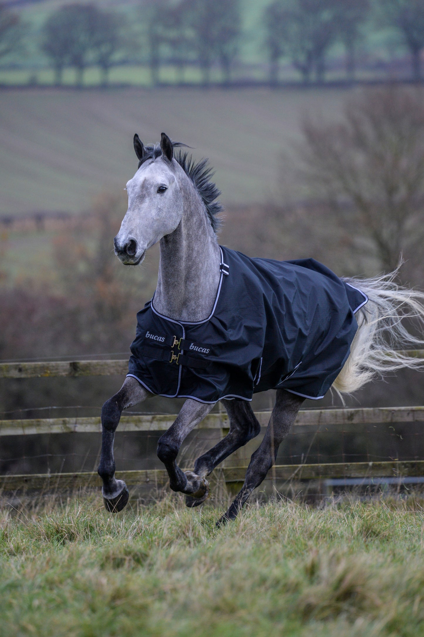 Bucas Trot 200g Standard Neck Turnout Rug - Black/White
