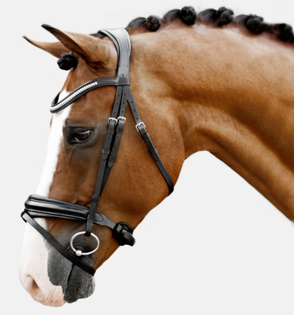 Lumiere Equestrian Melodie Anatomical Snaffle Bridle