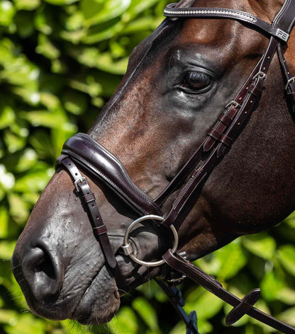 Premier Equine Cheek Pieces (Pair) Brown - N P Equestrian & Pet Supplies Ltd 
