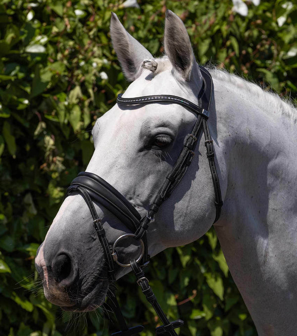 Premier Equine Veneto Anatomical Snaffle Bridle - N P Equestrian & Pet Supplies Ltd 